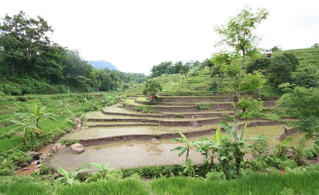 孩子名字缺土应取什么名字好,五行缺土名字里需要有个属土的字吗