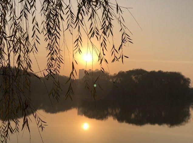 今年是“强火过济河，但看虎年秋”是什么意思？古人的经验