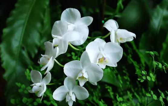 风水摆件－文昌塔什么材质最好?