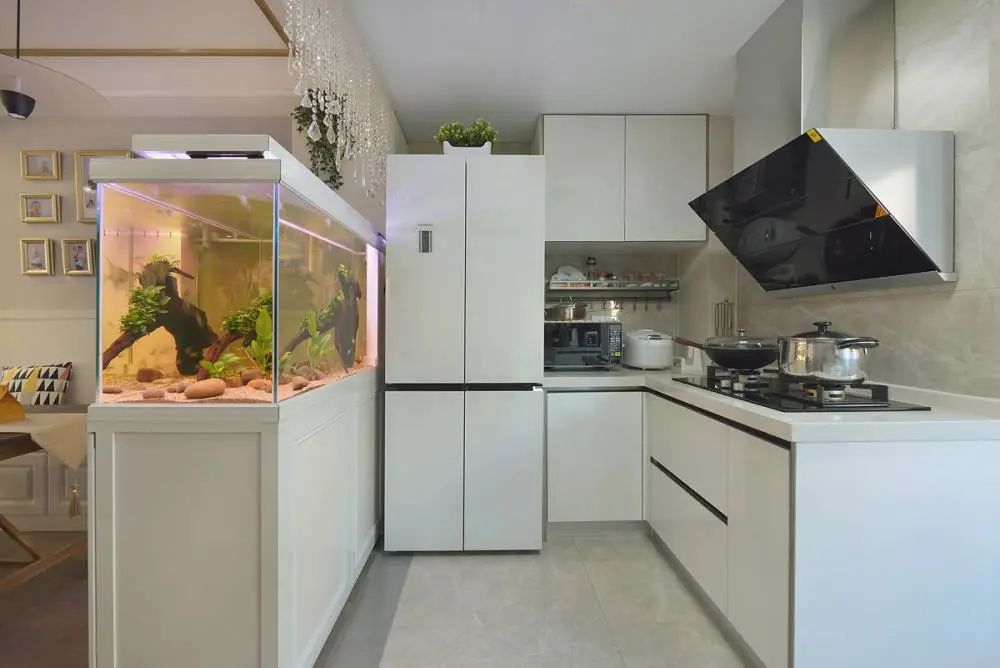 养鱼能招财？前提是养得对！