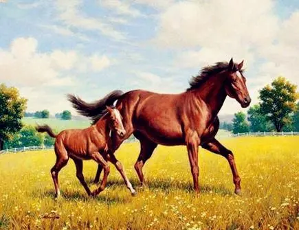 哪些生肖是寡妇命 晚年十有八九会离婚