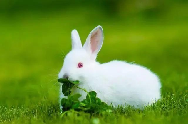 哪3个时辰出生的人,总有贵人撑腰,资质平庸也有富裕机会