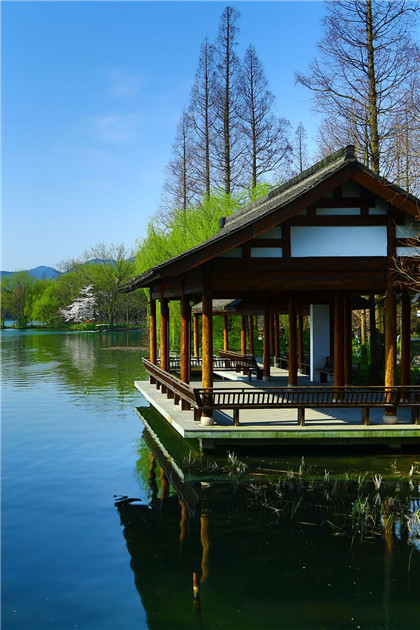 专化正南三煞五黄岁破之凶气：灵龟转运风水摆件