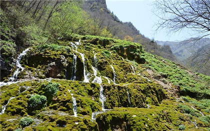 风水吉祥物龙龟旺运、招财、化三煞