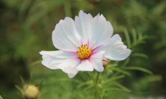 易学江湖回忆录010——鲁班传人的秘辛