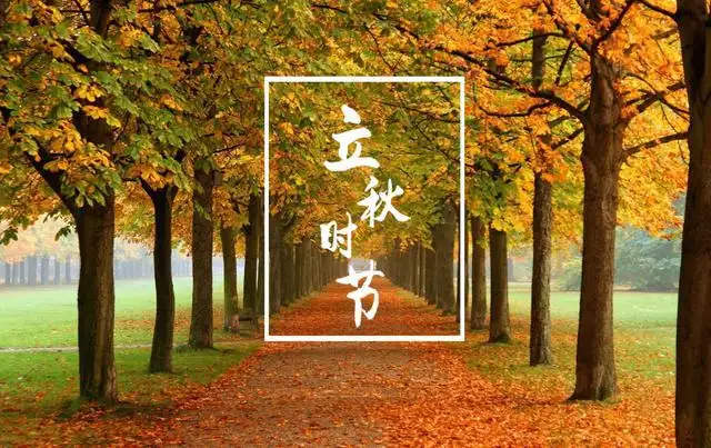 2022年立秋后天坑在哪个方位 立秋天的习俗大不同