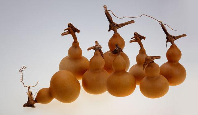 揭秘风水吉祥物的作用