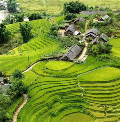 五大开运吉祥物