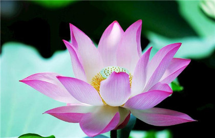 随身佩戴的开运吉祥物