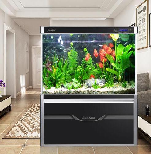 家中养鱼，你要知道的三个讲究！