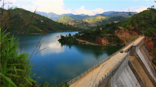 招财鱼缸放在哪好？ 风水鱼都有哪些品种