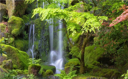 家居招财风水吉祥物都有哪些？