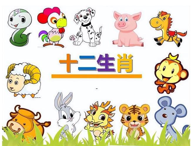 2023兔年你的运势如何？来了解一下吧