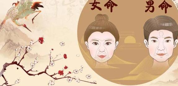 面相分析鼻梁高的人都有哪些性格和特征？