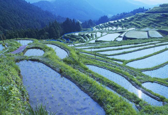 紫水晶貔貅适合什么人戴有什么功效？