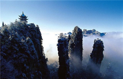 招财猫的颜色不同有什么风水含义? 招财猫的颜色不同有什么风水含义?