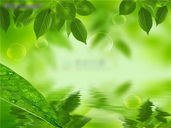 金蟾可以摆放在财位吗?金蟾损坏可以丢弃吗? 金蟾可以摆放在财位吗?金蟾损坏可以丢弃吗?