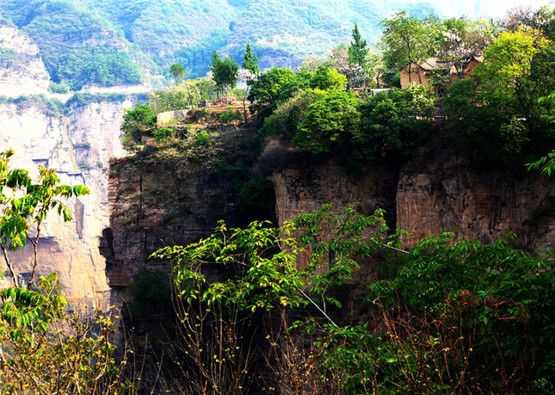 招财金蟾的正确摆放方式介绍,心术不正的人可以摆放金蟾? 招财金蟾的正确摆放方式介绍,心术不正的人可以摆放金蟾?