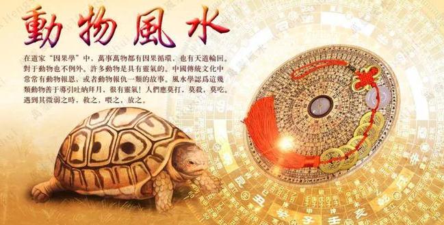 常用的生肖动物风水摆件，来了解一下吧