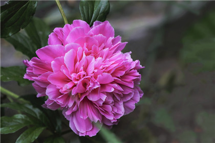 八卦镜的作用介绍，八卦镜正确使用方式介绍