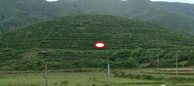 风水宝地　以星点穴实体图解