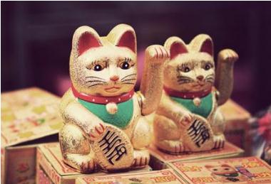 哪些人不适宜摆放招财猫？招财猫禁忌属相人群