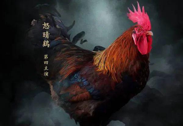 胡商花五百两银子买了两只鸡，用来降服少室山的蜈蚣精