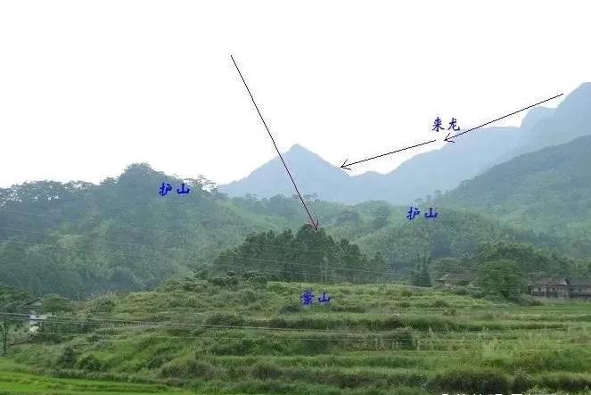 初学入山看地，寻龙点穴实操讲解，帮你少走弯路