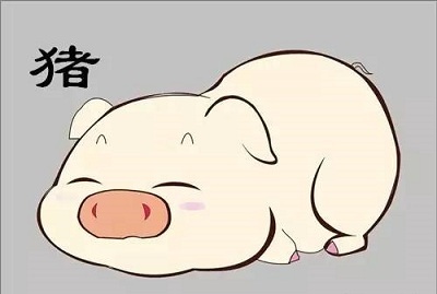 木猪风水代表什么？风水木猪的木材怎么选？