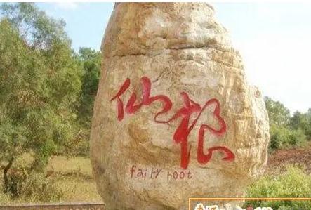 黑色风水猪代表什么？还有什么招财摆件？