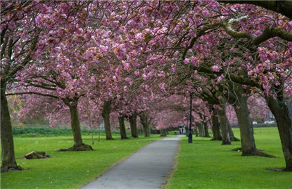 猪槽子与风水有什么关系？