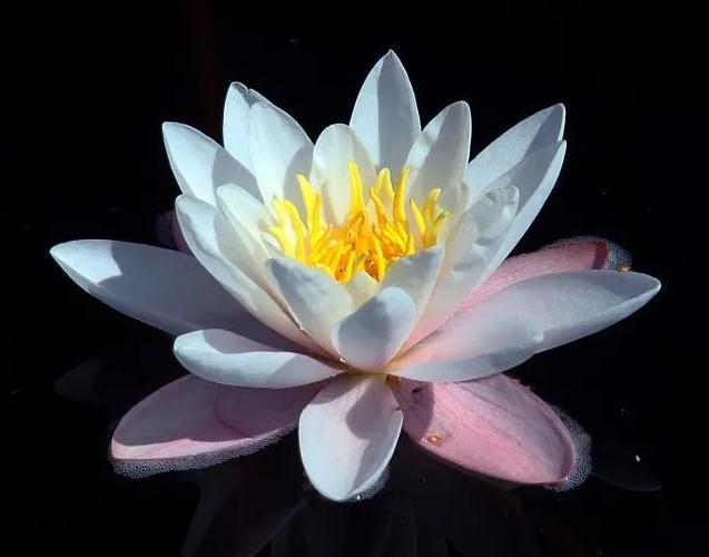 猪石槽风水格局，石槽养鱼风水