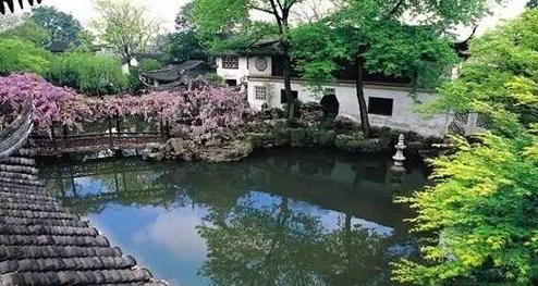 铜钱草怎么摆放可以招财 铜钱草风水