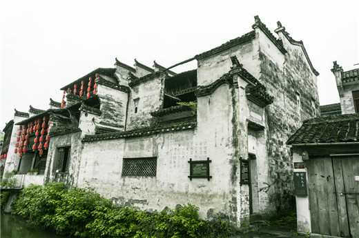 招财风水可以通过植物来完成！