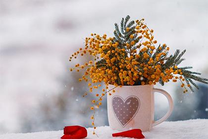 家中花瓶摆放有何讲究?可以摆放空花瓶吗? 家中花瓶摆放有何讲究?可以摆放空花瓶吗?