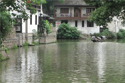 绿色植物的风水含义