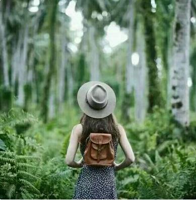 竹子有什么风水作用？竹子的风水寓意是什么？