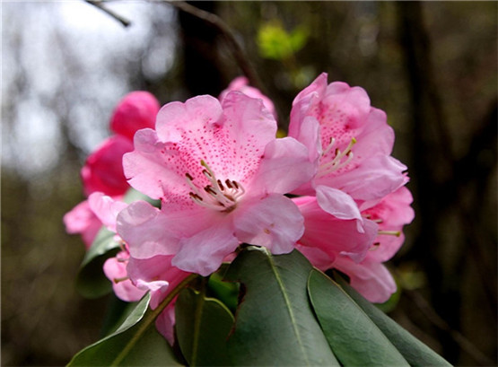 什么颜色钱包旺财，钱包选择有何禁忌？