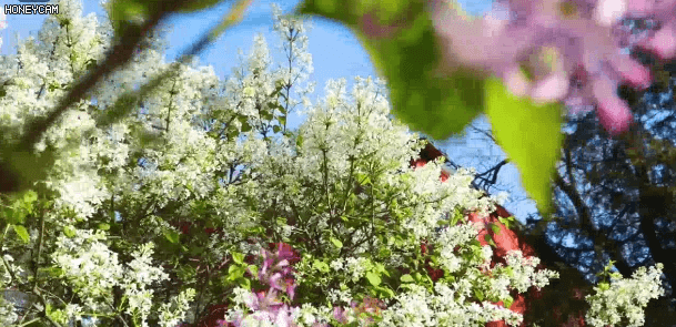 关于貔貅的这些风水问题你知道多少？