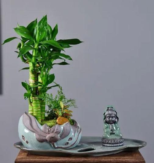 旺财运的风水吉祥物有哪些？要如何摆放？