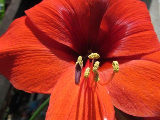 三足金蟾的传说故事是怎么由来的？