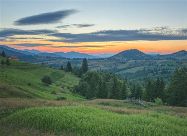 象上金蟾怎么摆放？有哪些作用？