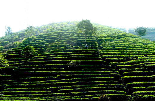 这些风水吉祥物你真的用对了吗? 这些风水吉祥物你真的用对了吗?