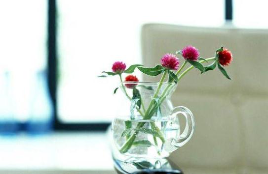 什么吉祥物最适合摆放在家中呢？