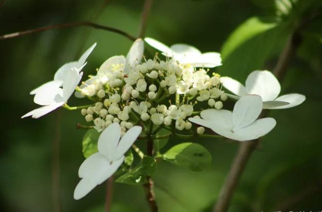 什么物品可以去霉运化厄运？五大利器要知道！