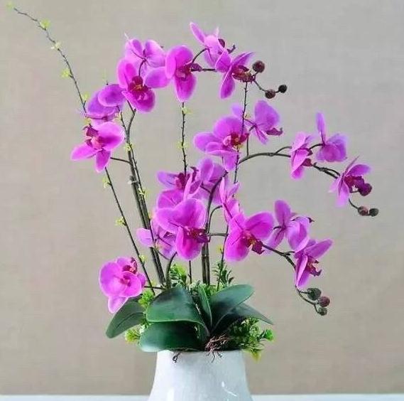 详解饭店财神位置的摆放讲究和禁忌