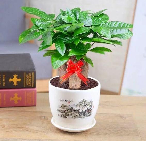 如何利用风水格局让财神爷光顾你家？