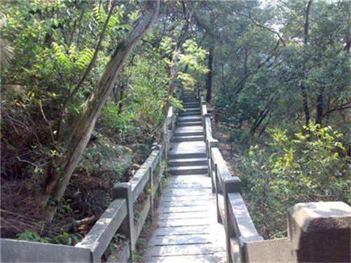 生肖牛是什么样的人？最大的缺点是什么？