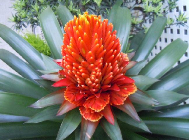 钱包怎么用才能旺财？注意这6点就可以了