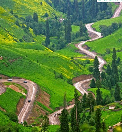 2024年必定中大奖运气的生肖 蛇猴鼠成为人生赢家